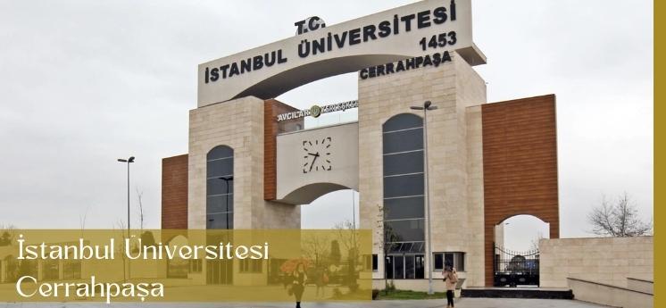 istanbul devlet üniversiteleri