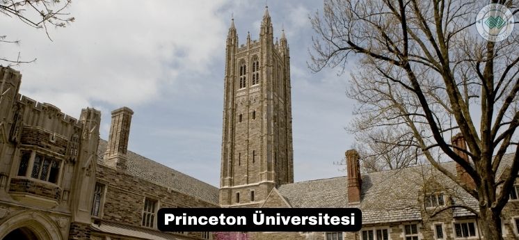 dünyanın en iyi üniversiteleri princeton