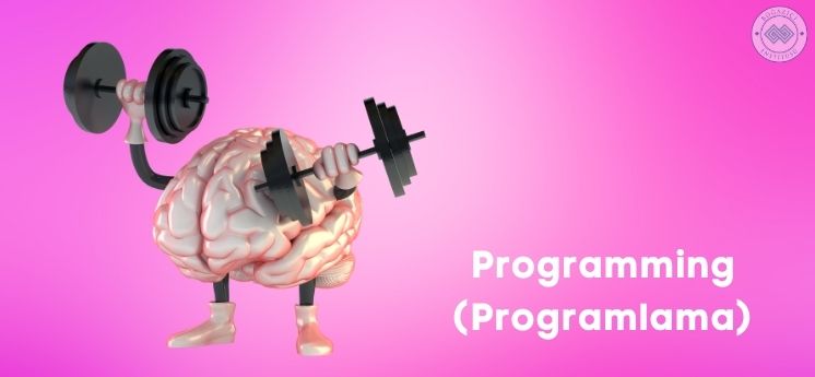 programming programlama